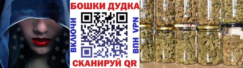 купить наркотик  Павловский Посад  мега зеркало  МАРИХУАНА White Widow 